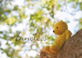 Rouwkaarten Morendo: knuffelbeer blijft achter in boom