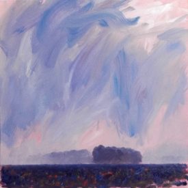 rouwkaarten Morendo: paarse mist in Westerwolde
